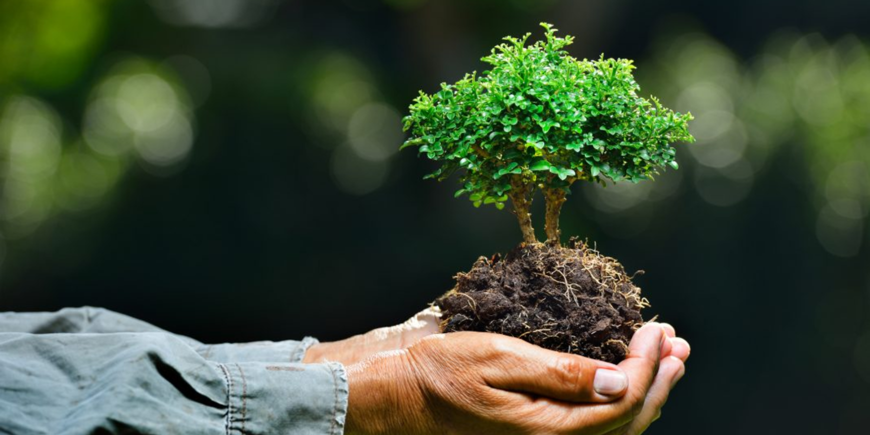 माणूस आणि त्याचं निसर्गप्रेम!