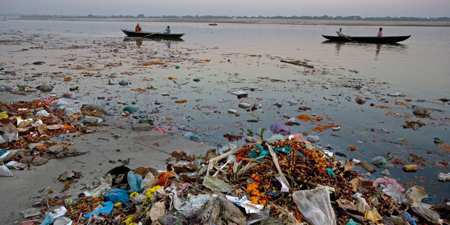 How Does Water Pollution Affect Biodiversity?