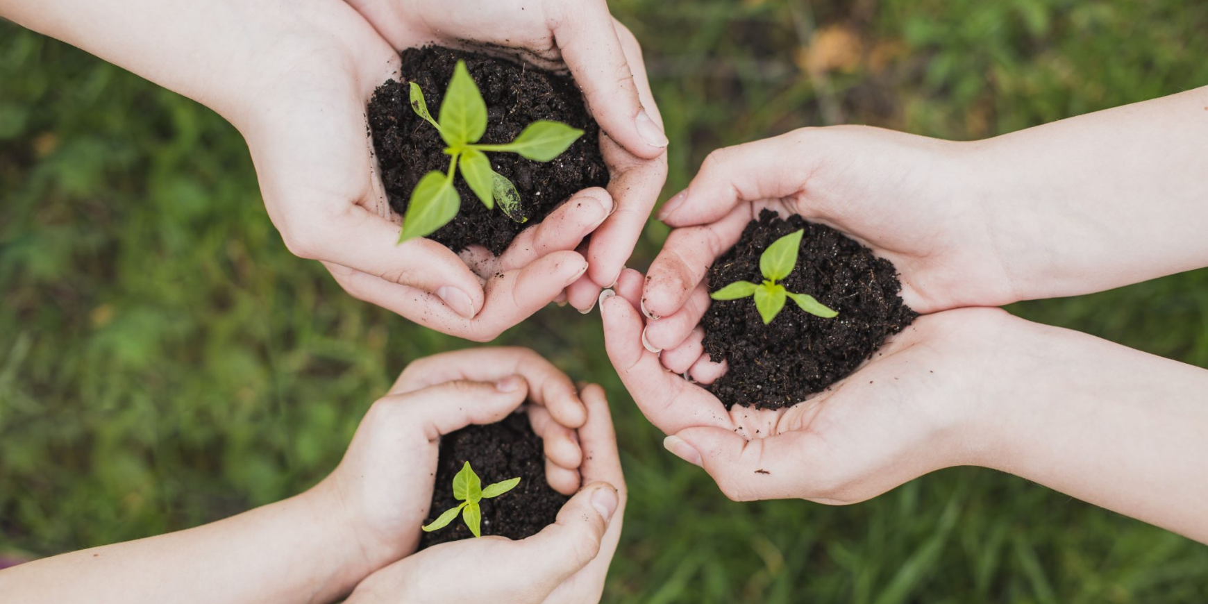 How to take good care of the environment