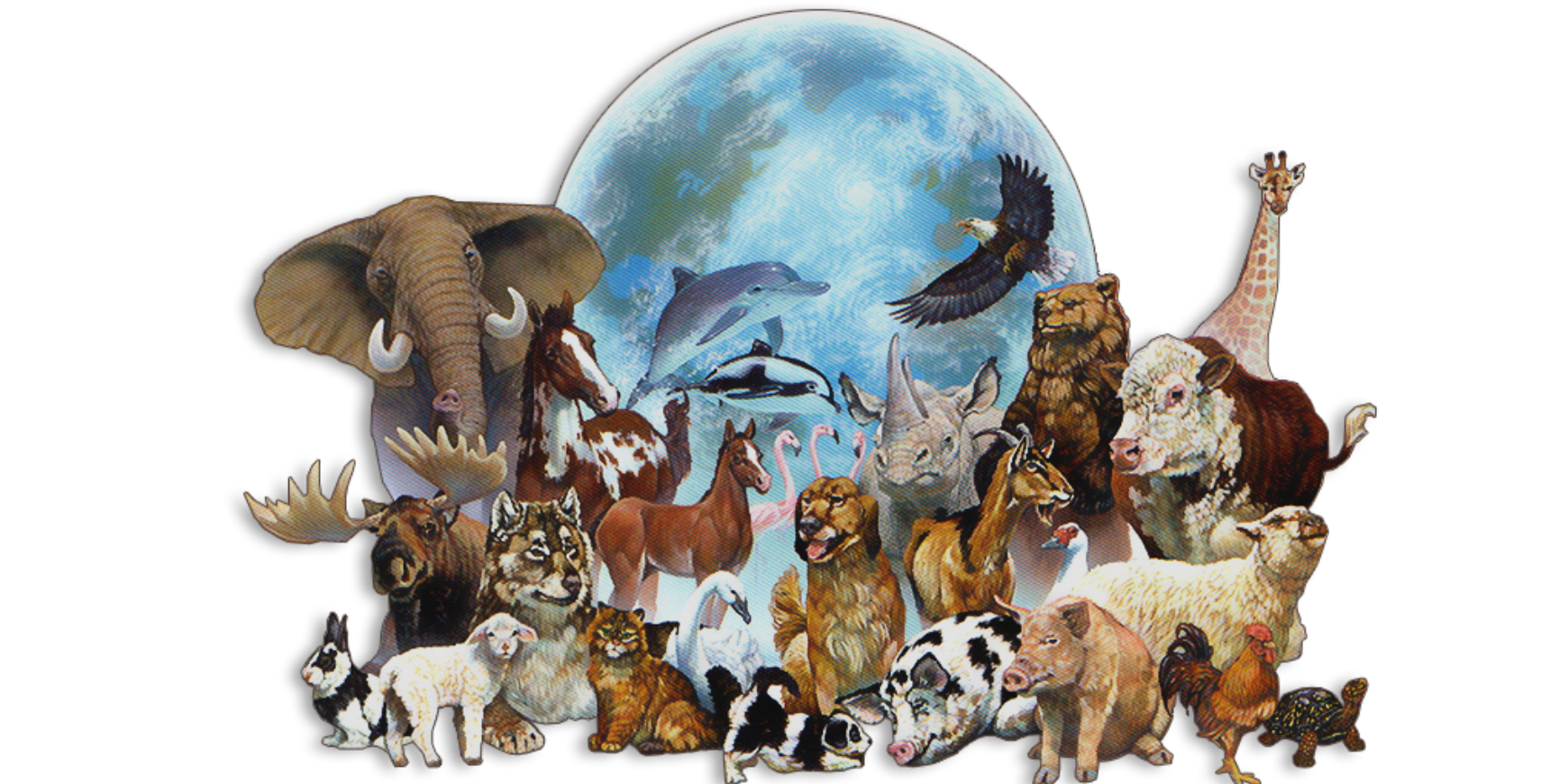 The Urgency of Protecting Endangered Species from Extinction