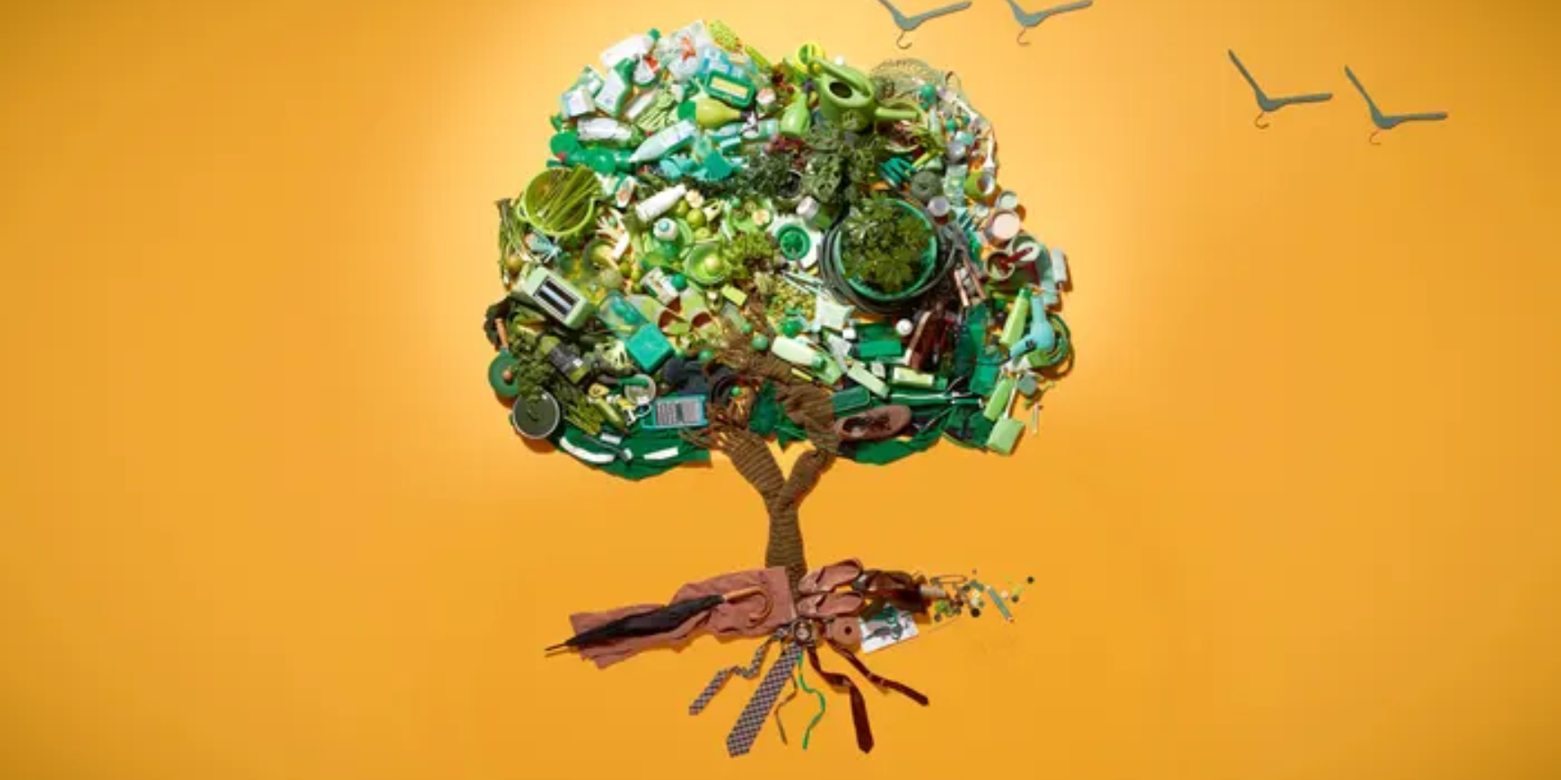 Sustainable Living: Small Changes for a Greener Future