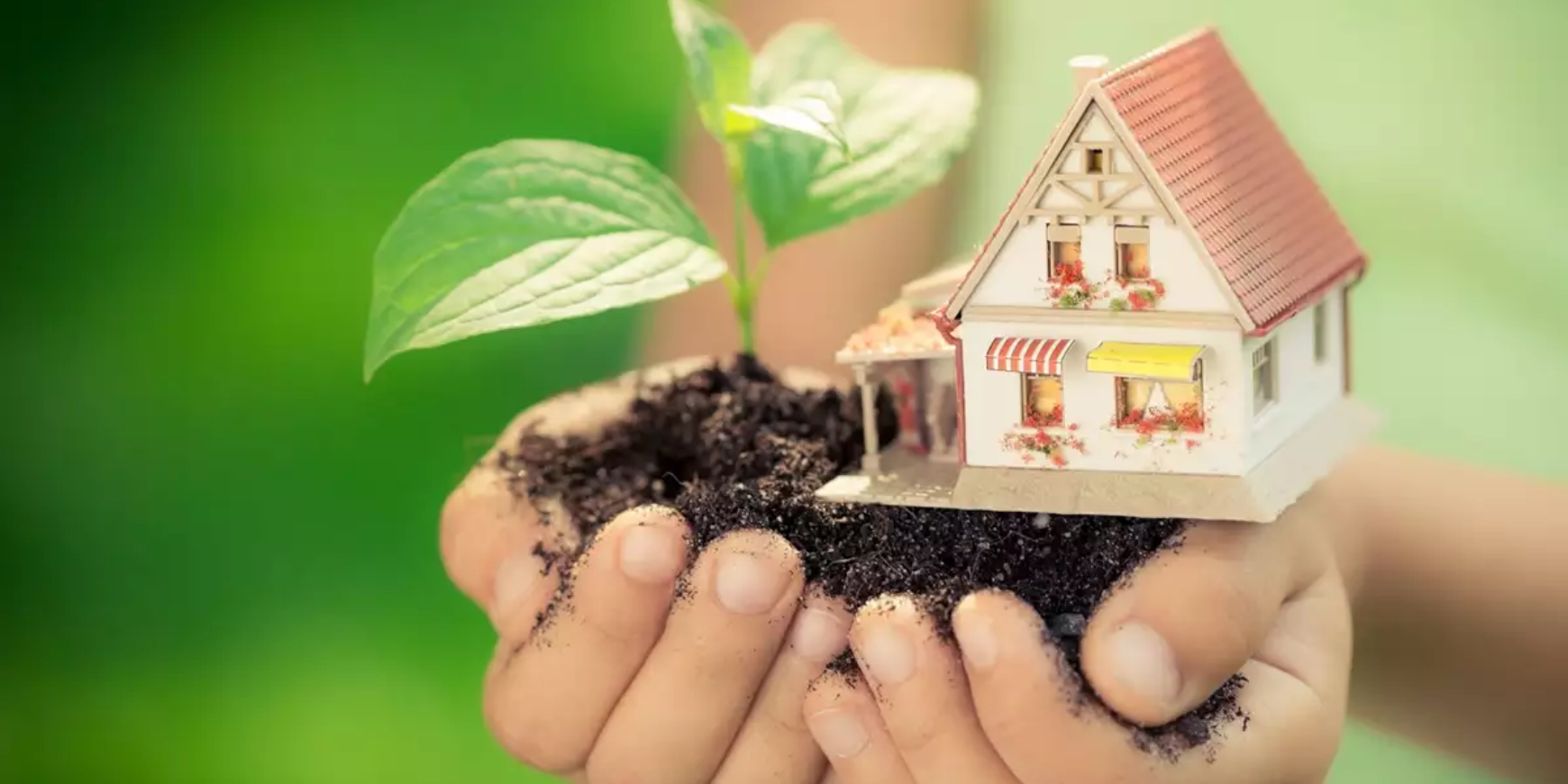Sustainable Living: Small Changes for a Greener Future