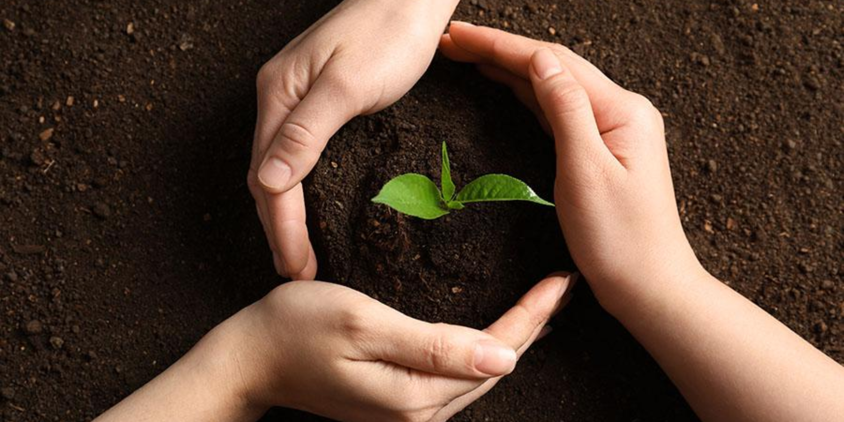 The Importance of Soil Conservation for Nature