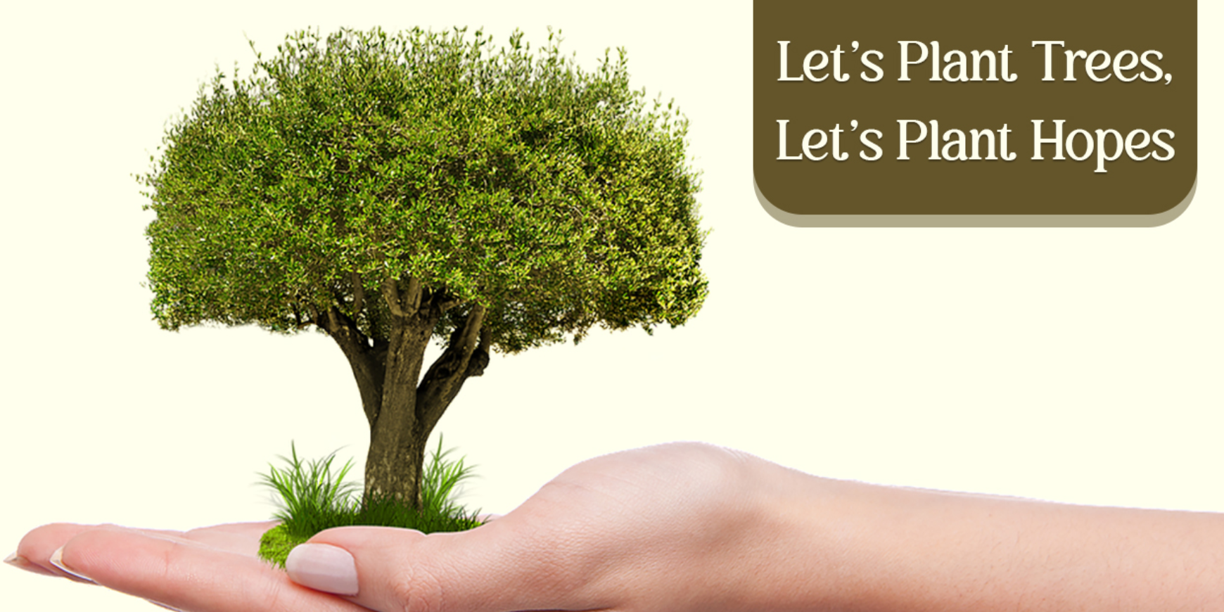How Planting Trees Can Improve Air Quality in Your Community