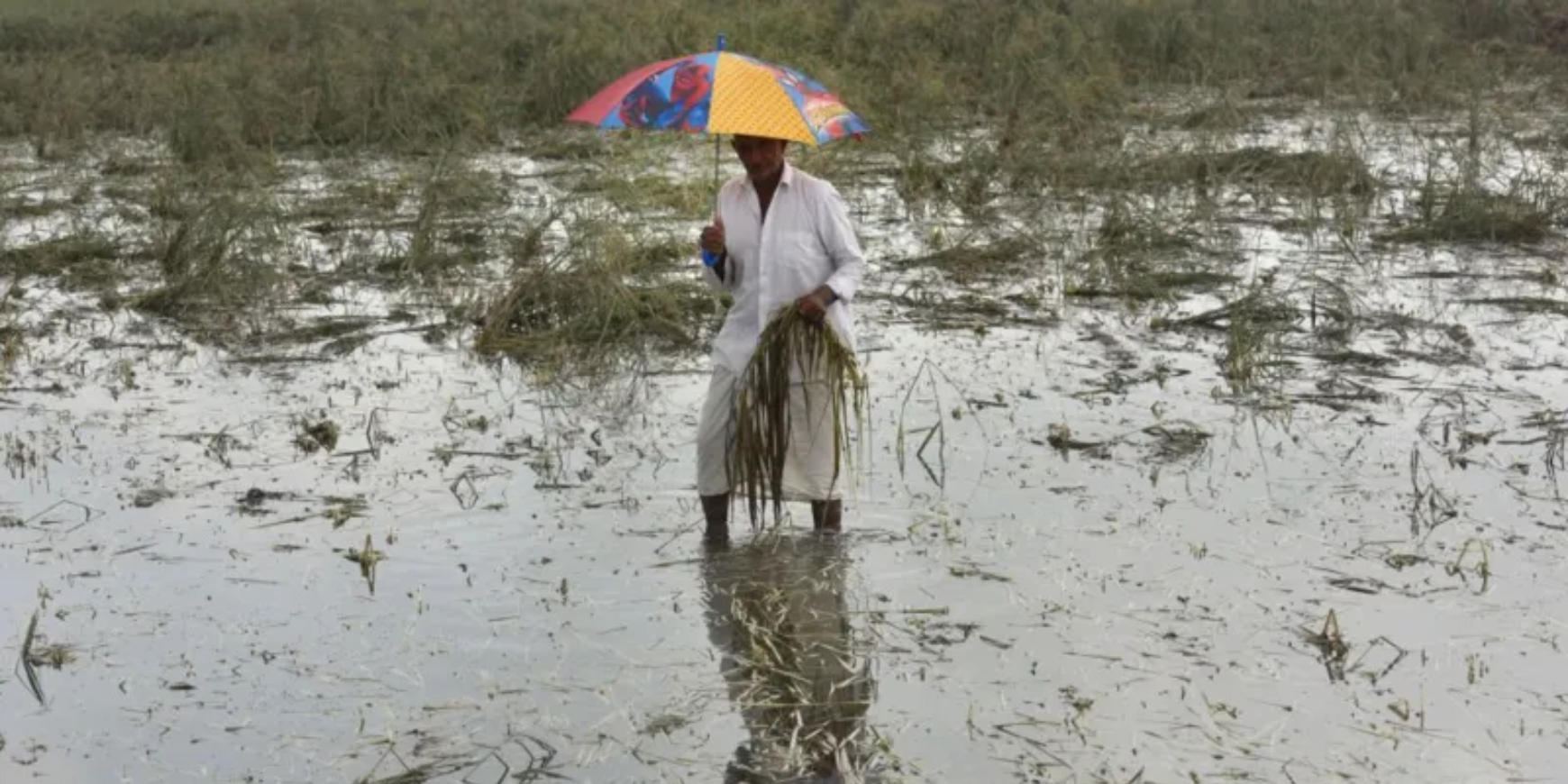 अवकाळी पाऊस म्हणजे काय? गारपिटीमागे असतात ‘ही’ कारणं..
